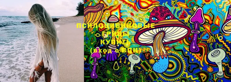 цены   Похвистнево  Псилоцибиновые грибы MAGIC MUSHROOMS 